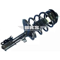 REAR SUSPENSION STRUT ASSEMBLY RIGHT-INDIGO 2002-2018