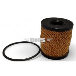 FILTER ASSY - OIL - ECOSPORT-ASPIRE 1ST GEN 2015-2021/ECOSPORT 2013-2021/ENDEAVOUR 2003-2019/FIESTA 2005-2015/FIGO 2010-2022/FREESTYLE 2018-2022/FUSION 2004-2010/IKON 1999-2011/MONDEO 2001-2007